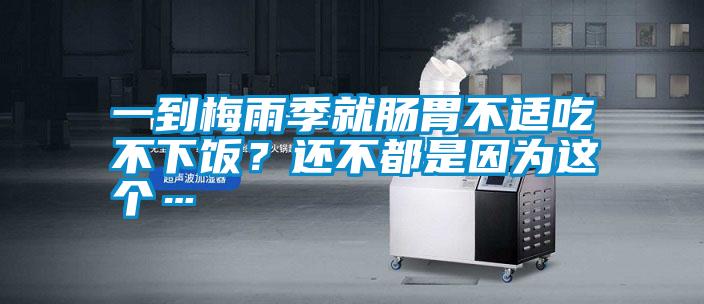 一到梅雨季就腸胃不適吃不下飯？還不都是因為這個…