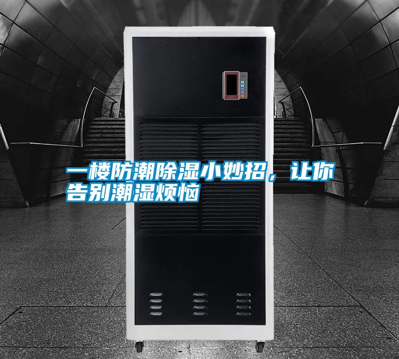 一樓防潮除濕小妙招，讓你告別潮濕煩惱