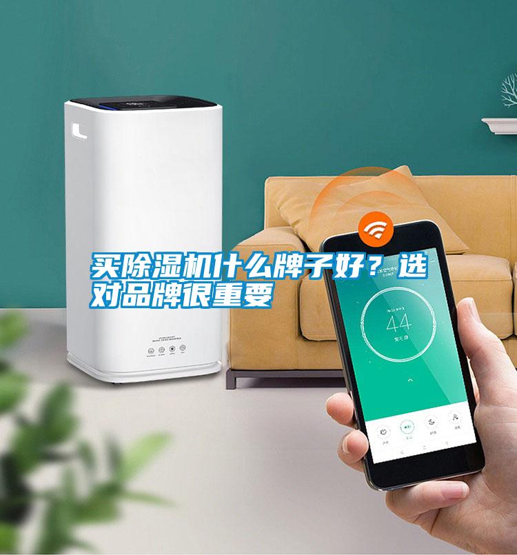買除濕機什么牌子好?選對品牌很重要