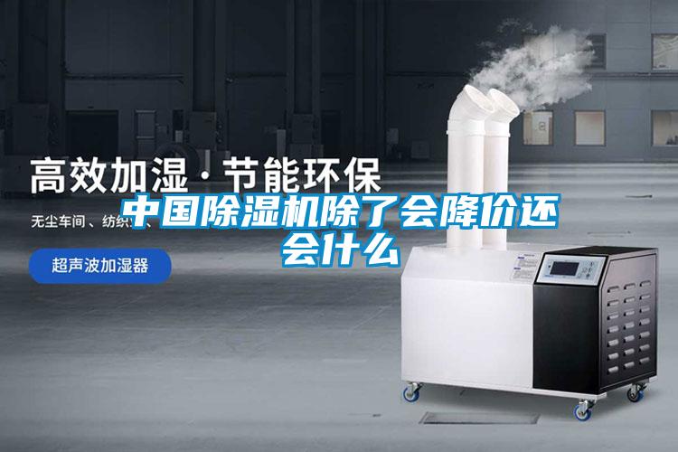 中國除濕機(jī)除了會降價還會什么