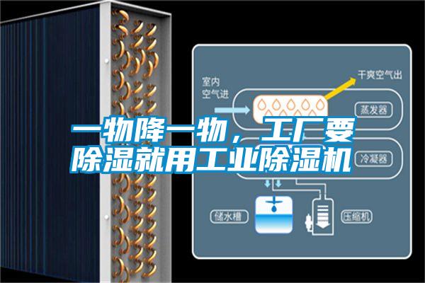 一物降一物，工廠要除濕就用工業除濕機