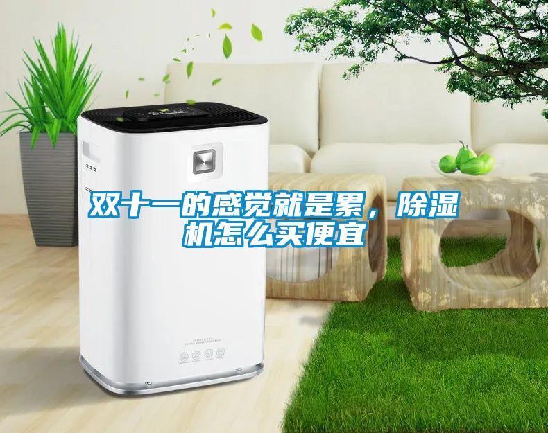 雙十一的感覺(jué)就是累,除濕機(jī)怎么買(mǎi)便宜