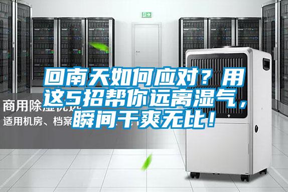 回南天如何應對?用這5招幫你遠離濕氣,瞬間干爽無比!