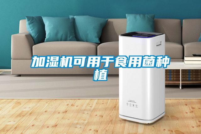 加濕機(jī)可用于食用菌種植
