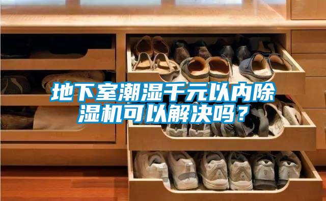 地下室潮濕千元以內除濕機可以解決嗎?