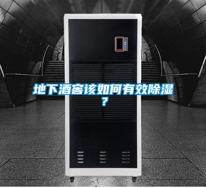 地下酒窖該如何有效除濕？