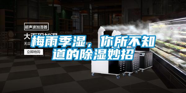 梅雨季濕,你所不知道的除濕妙招