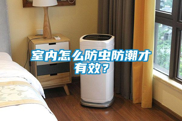 室內怎么防蟲防潮才有效？