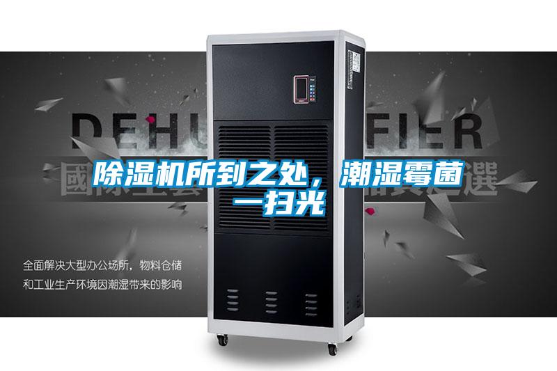 除濕機所到之處,潮濕霉菌一掃光