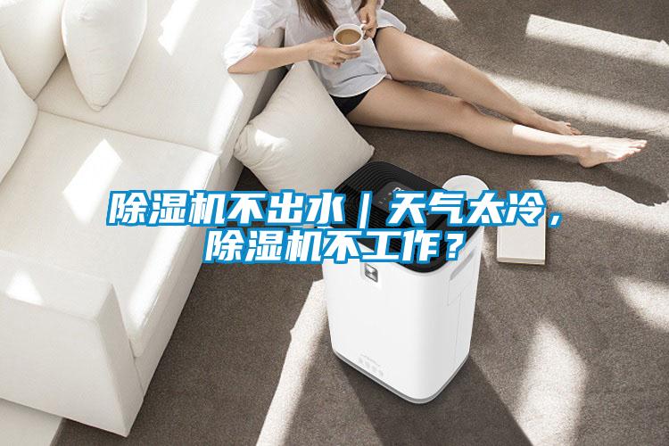 除濕機(jī)不出水|天氣太冷,除濕機(jī)不工作?