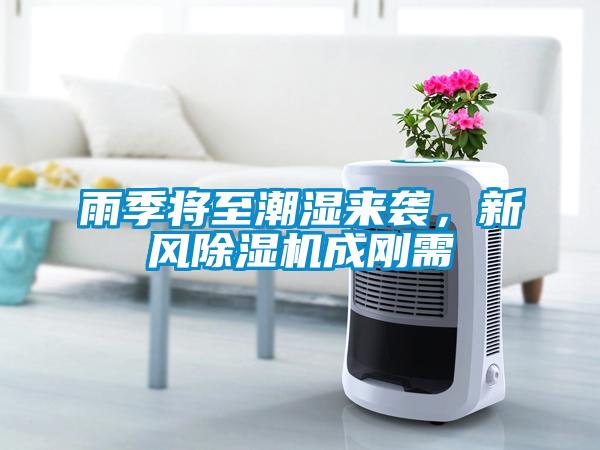雨季將至潮濕來襲，新風除濕機成剛需