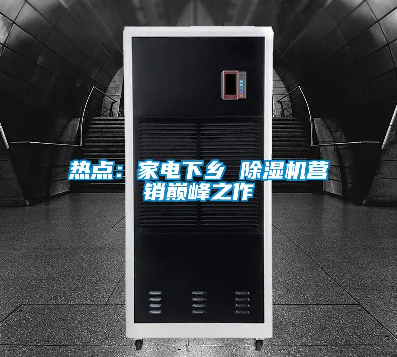熱點:家電下鄉 除濕機營銷巔峰之作