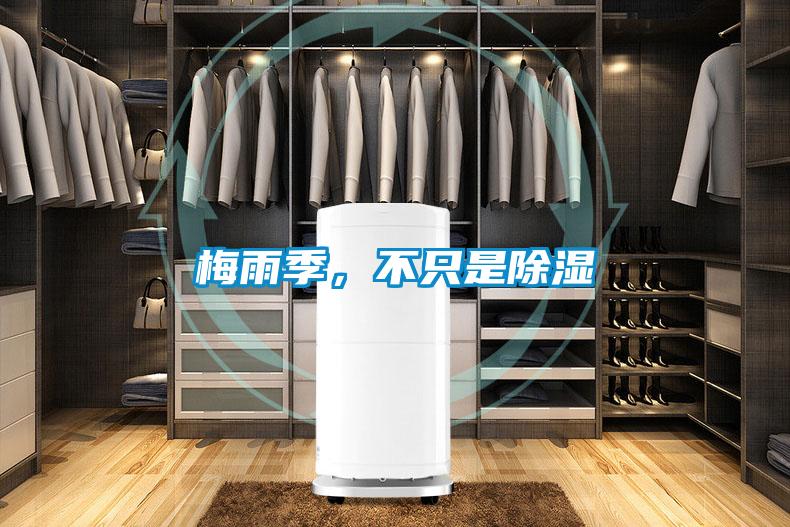 梅雨季,不只是除濕