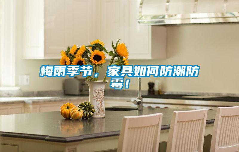 梅雨季節(jié)，家具如何防潮防霉！