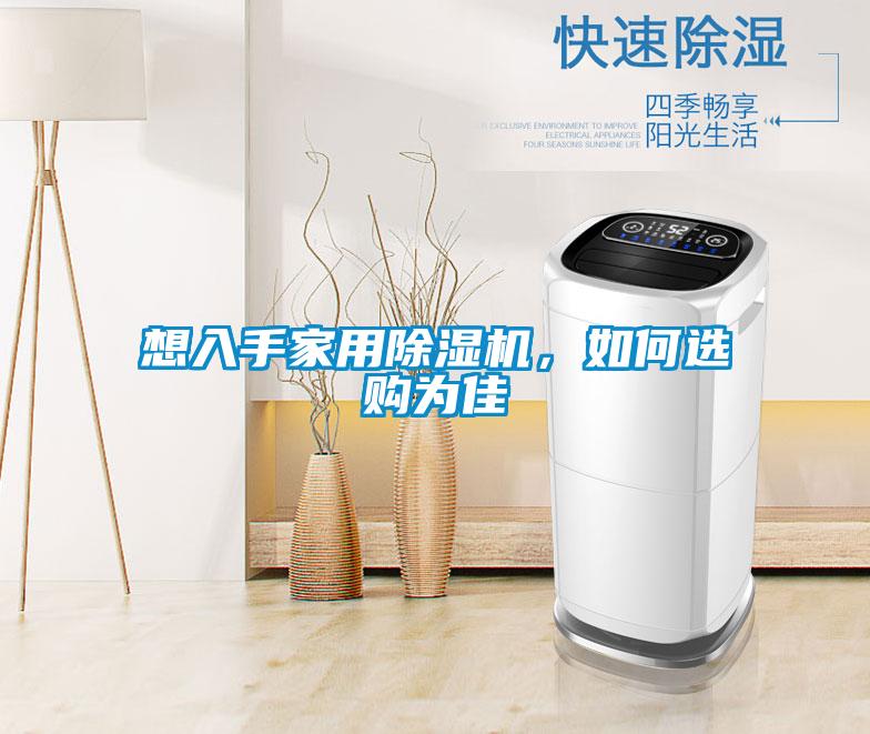想入手家用除濕機,如何選購為佳