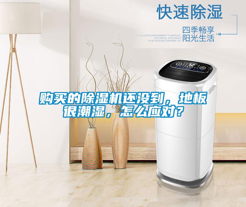 購買的除濕機還沒到,地板很潮濕,怎么應對?