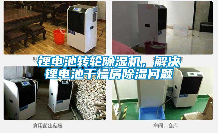 鋰電池轉輪除濕機,解決鋰電池干燥房除濕問題