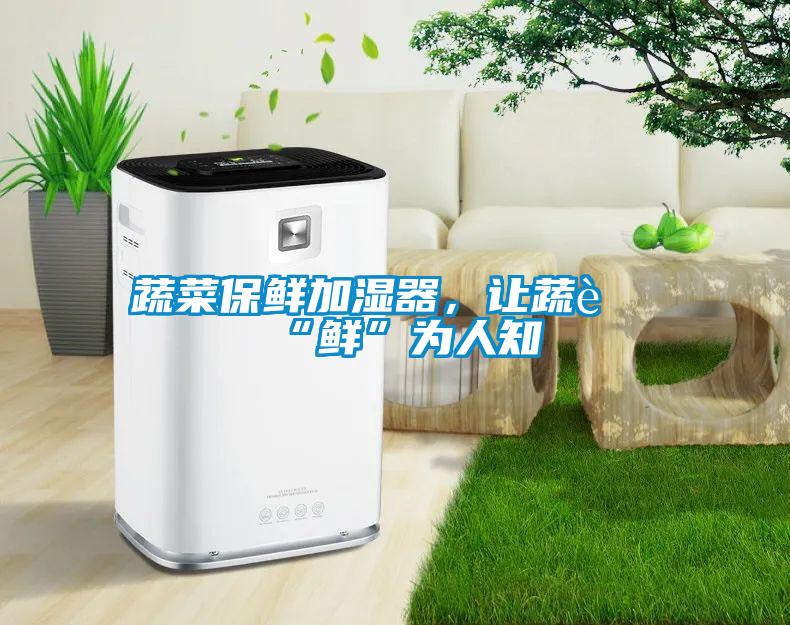 蔬菜保鮮加濕器,讓蔬菜“鮮”為人知