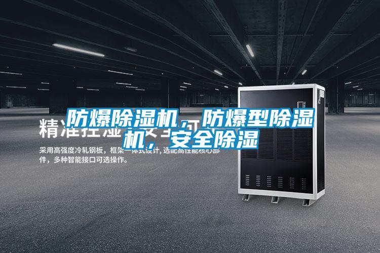 防爆除濕機(jī)，防爆型除濕機(jī)，安全除濕