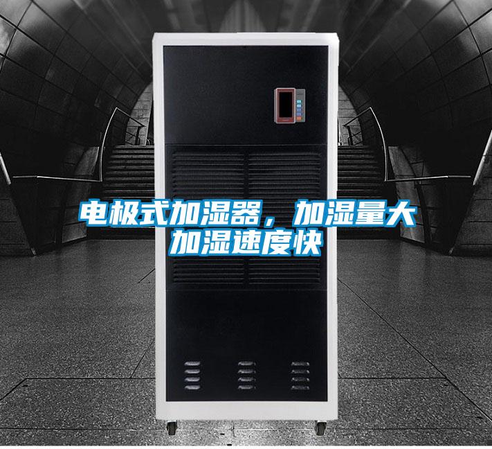 電極式加濕器,加濕量大加濕速度快