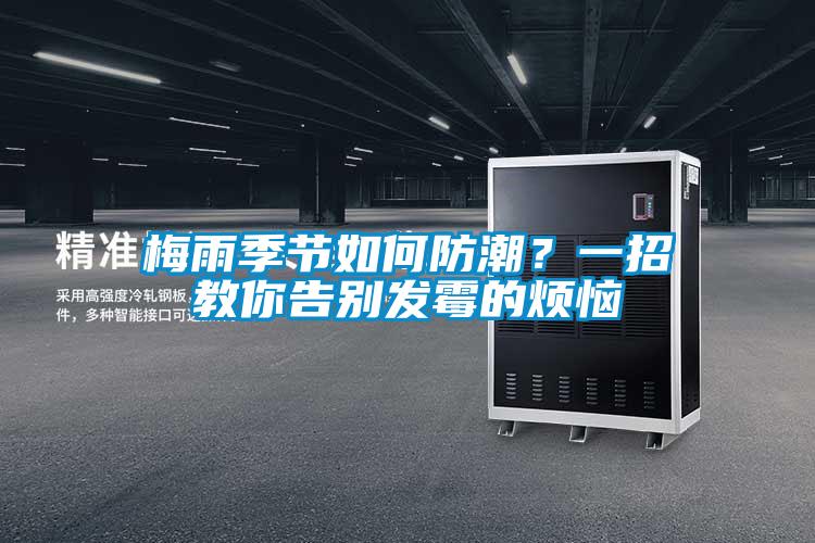 梅雨季節(jié)如何防潮?一招教你告別發(fā)霉的煩惱