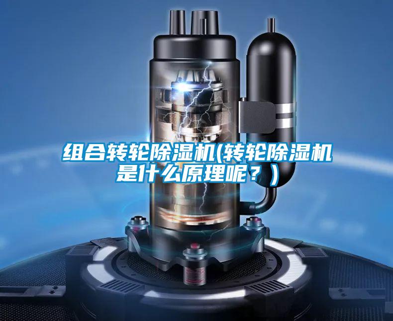 組合轉(zhuǎn)輪除濕機(jī)(轉(zhuǎn)輪除濕機(jī)是什么原理呢?)