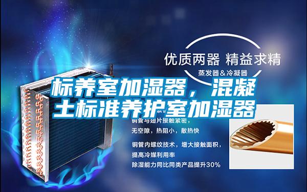 標(biāo)養(yǎng)室加濕器，混凝土標(biāo)準(zhǔn)養(yǎng)護(hù)室加濕器