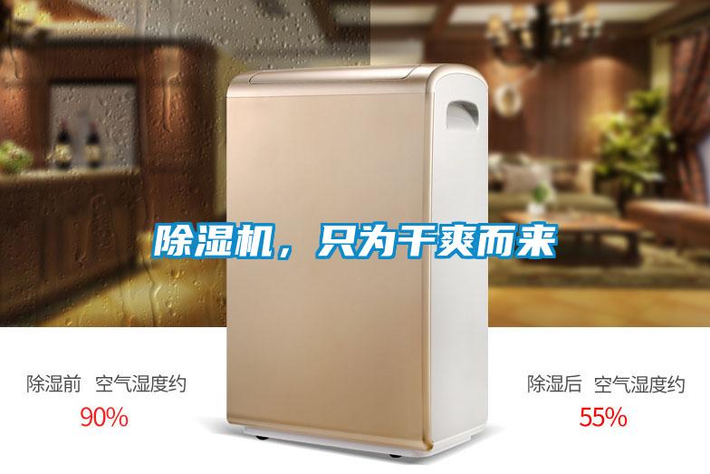 除濕機(jī),只為干爽而來