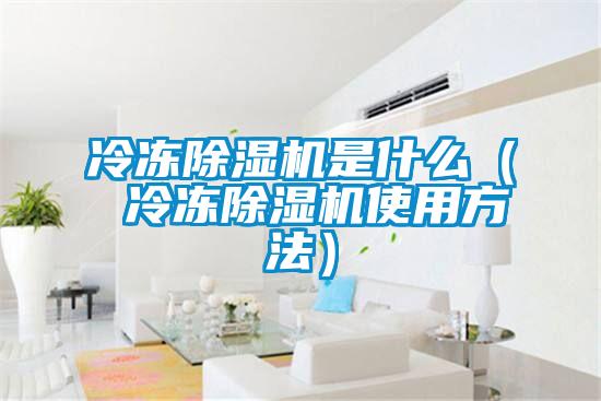 冷凍除濕機是什么( 冷凍除濕機使用方法)