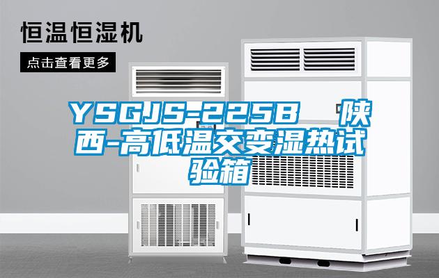 YSGJS-225B 陜西-高低溫交變濕熱試驗箱