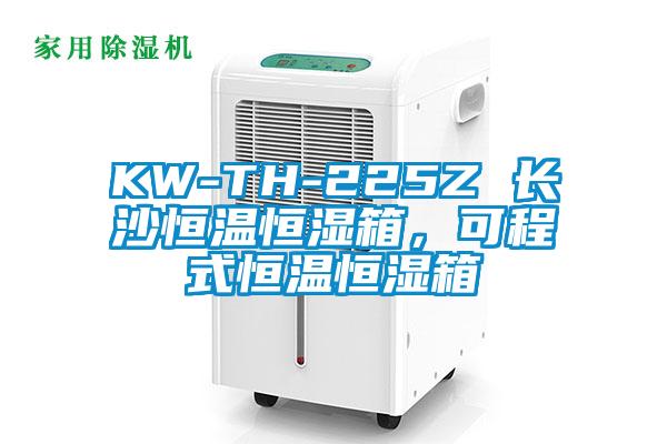 KW-TH-225Z 長沙恒溫恒濕箱,可程式恒溫恒濕箱