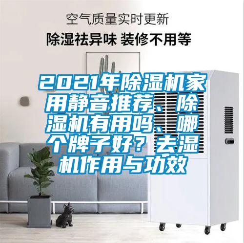 2021年除濕機家用靜音推薦、除濕機有用嗎、哪個牌子好?去濕機作用與功效