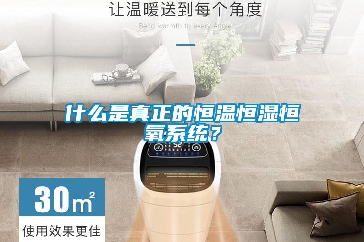 什么是真正的恒溫恒濕恒氧系統?