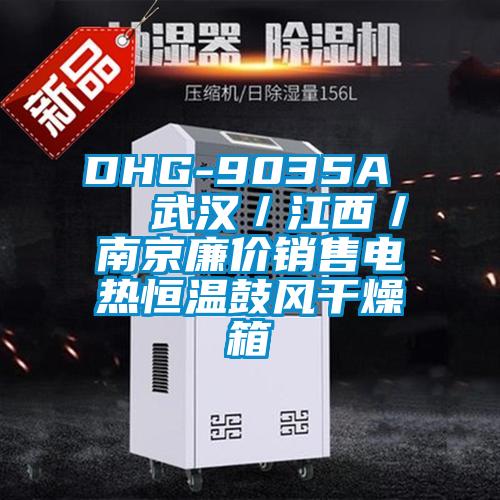 DHG-9035A 武漢/江西/南京廉價(jià)銷售電熱恒溫鼓風(fēng)干燥箱