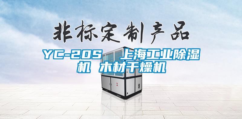 YC-20S 上海工業(yè)除濕機(jī) 木材干燥機(jī)