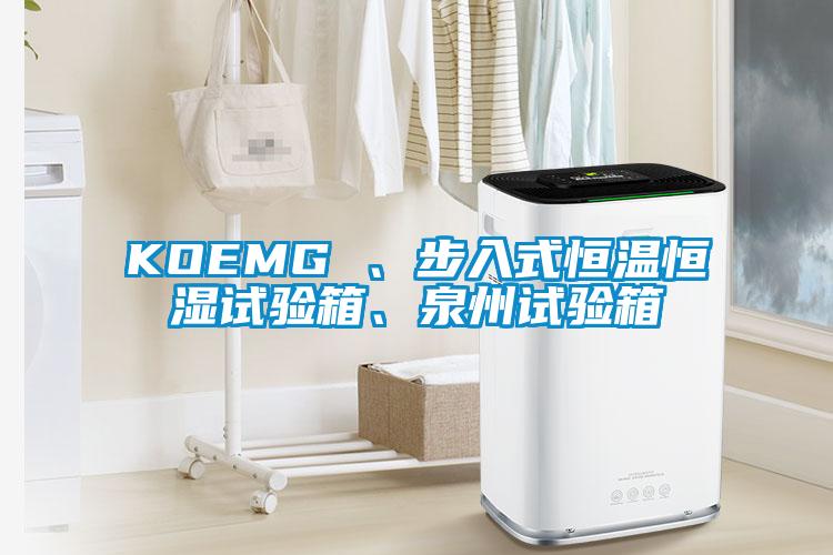 KOEMG 、步入式恒溫恒濕試驗箱、泉州試驗箱