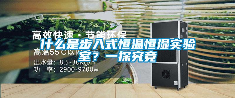 什么是步入式恒溫恒濕實驗室?一探究竟