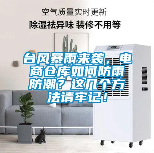 臺風暴雨來襲,電商倉庫如何防雨防潮?這幾個方法請牢記!