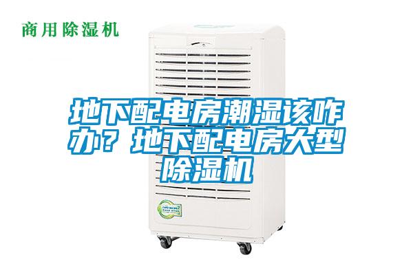 地下配電房潮濕該咋辦？地下配電房大型除濕機