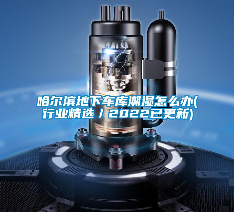 哈爾濱地下車庫(kù)潮濕怎么辦(行業(yè)精選/2022已更新)