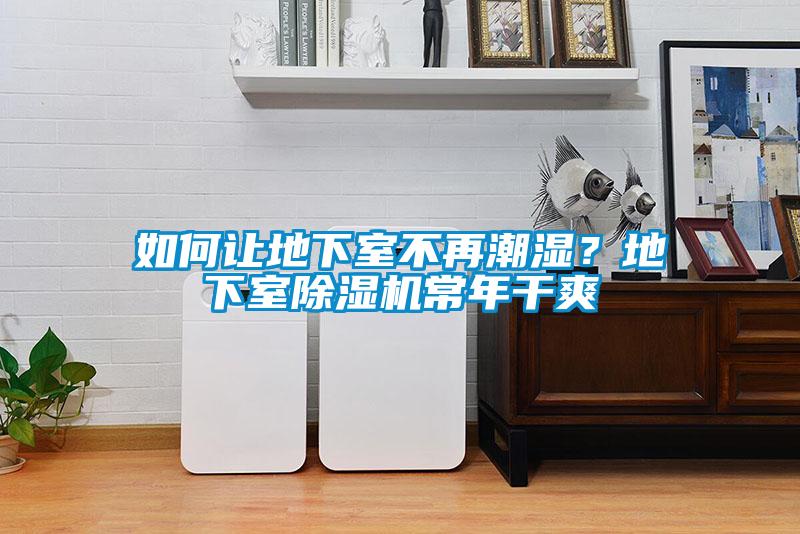 如何讓地下室不再潮濕?地下室除濕機常年干爽