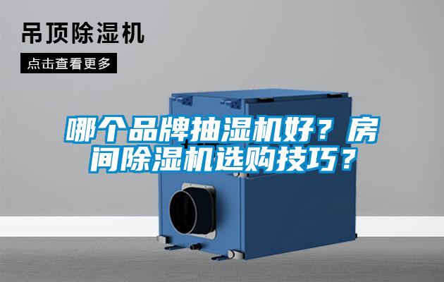 哪個品牌抽濕機好?房間除濕機選購技巧?