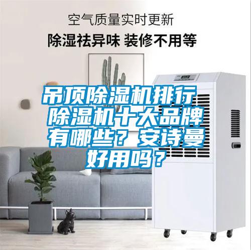 吊頂除濕機排行 除濕機十大品牌有哪些？安詩曼好用嗎？