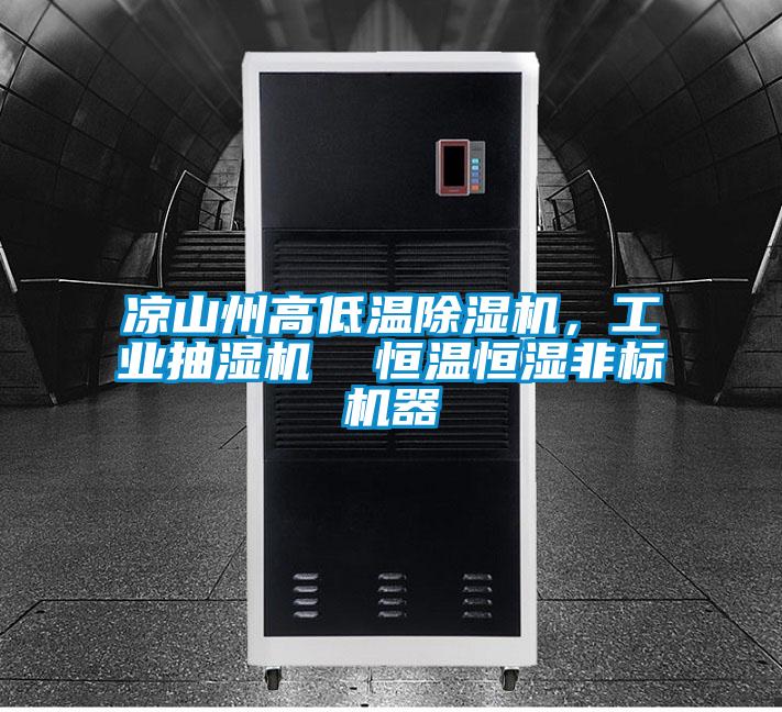 涼山州高低溫除濕機,工業(yè)抽濕機 恒溫恒濕非標機器