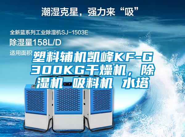 塑料輔機(jī)凱峰KF-G300KG干燥機(jī)，除濕機(jī) 吸料機(jī) 水塔