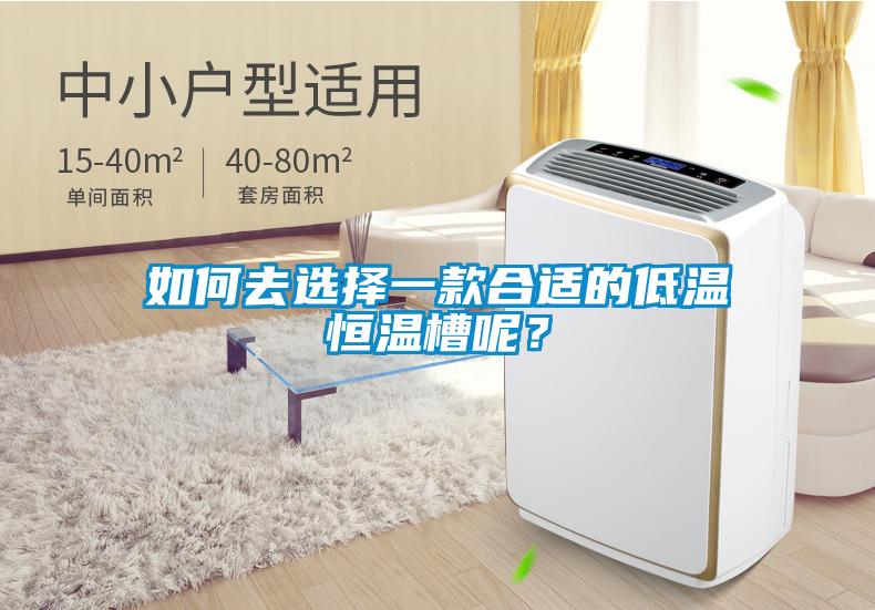 如何去選擇一款合適的低溫恒溫槽呢?