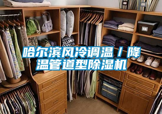 哈爾濱風(fēng)冷調(diào)溫/降溫管道型除濕機(jī)