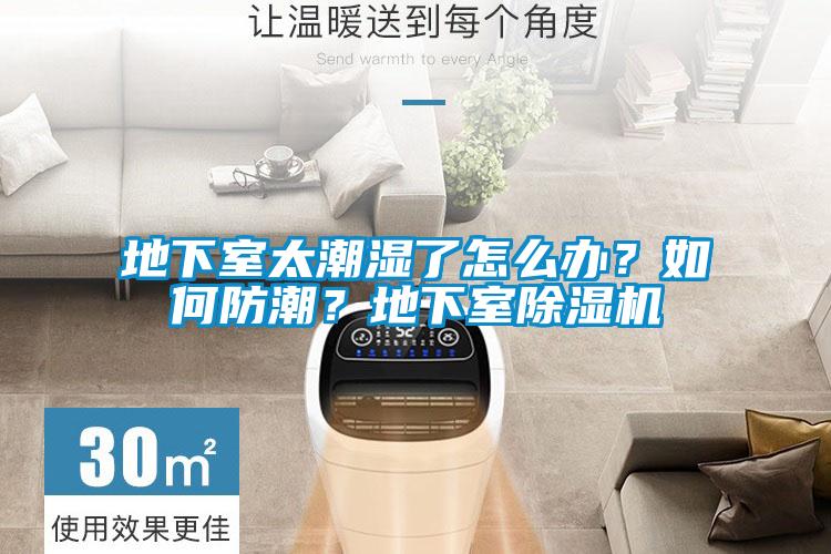 地下室太潮濕了怎么辦？如何防潮？地下室除濕機(jī)