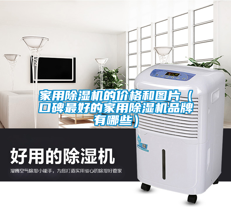 家用除濕機的價格和圖片(口碑最好的家用除濕機品牌有哪些)