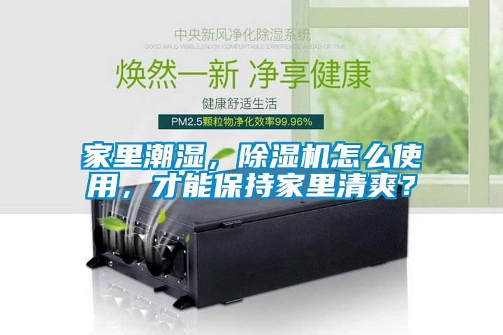 家里潮濕，除濕機怎么使用，才能保持家里清爽？